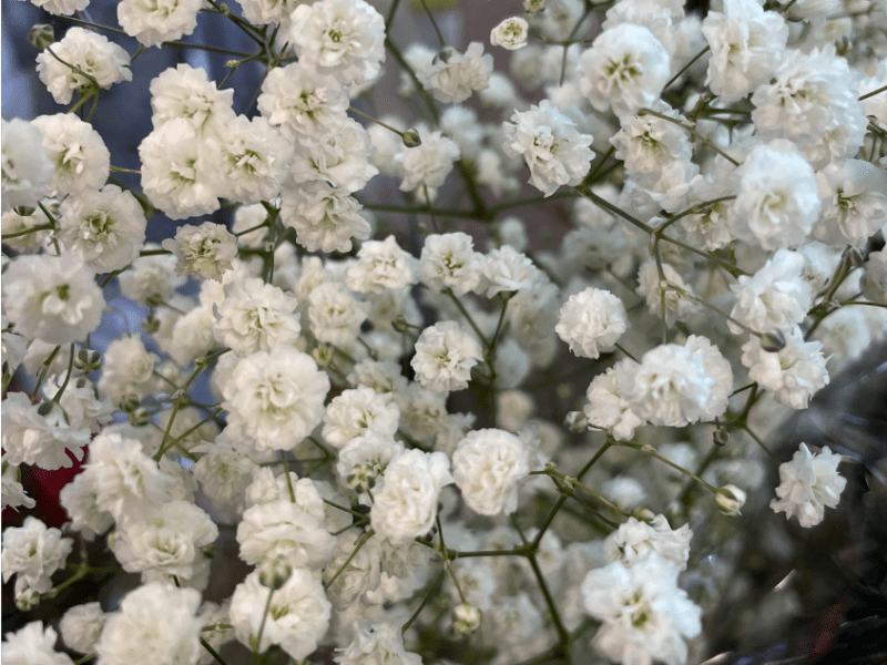 UU-Therapeutic Handicraft women project